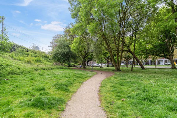 Medium property photo - Hofmeyrstraat 3B, 1091 LV Amsterdam
